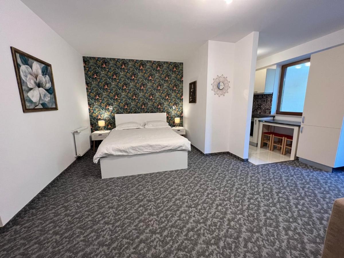 Coroni studio with jacuzzi Braszów Zewnętrze zdjęcie